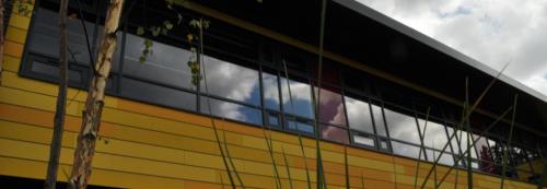 processImage (10).jpg